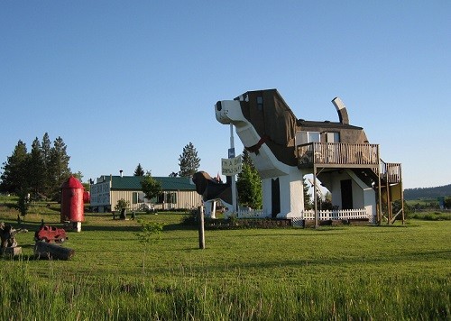 Unsual Hotels Around the World - Dog Bark Park Inn