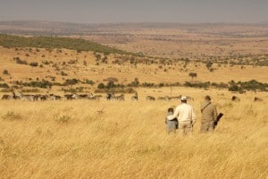 Africa Safari: Exciting, Exotic, and Unforgettable