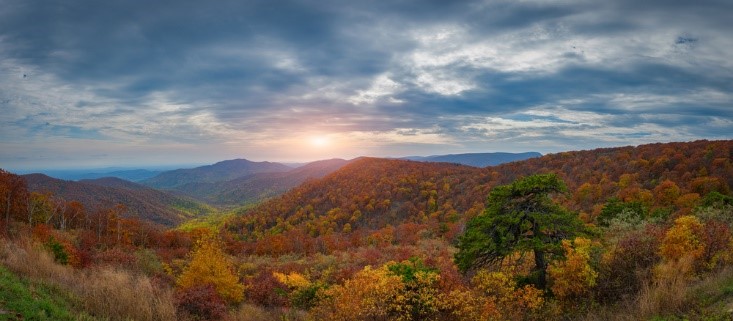 An overlook in Shenandoah National Park