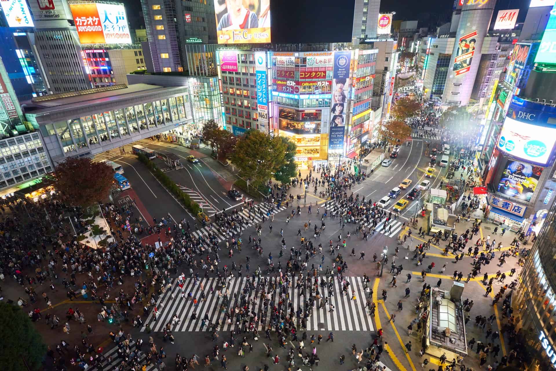 Best Time to Visit Tokyo