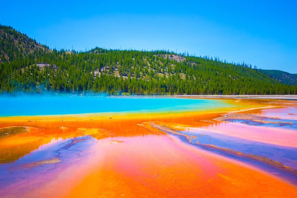 Grand Prismatic Spring