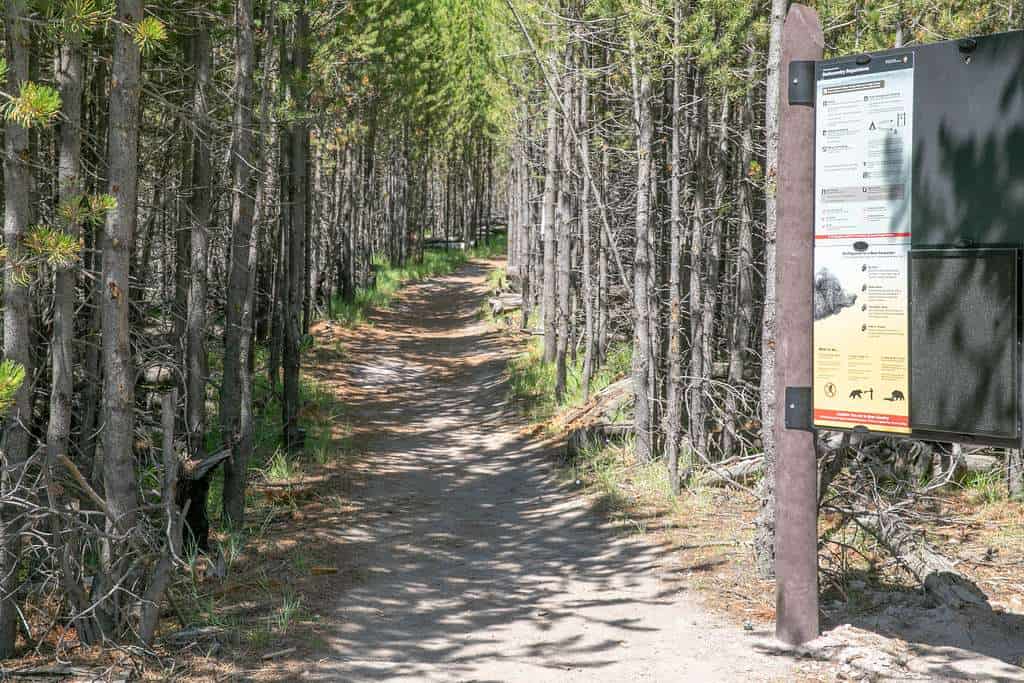 Harlequin Lake Trail