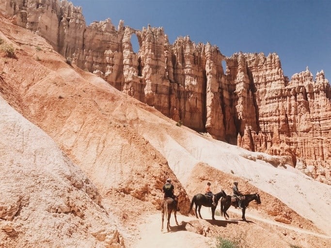 Horse Riding at the Bryce Canyon