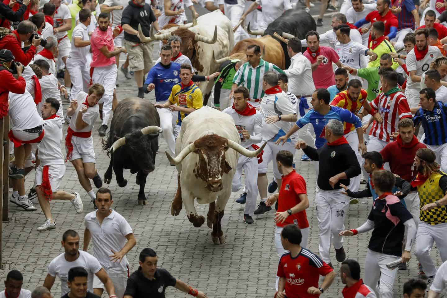 How to Survive the Pamplona Running with the Bulls In Spain