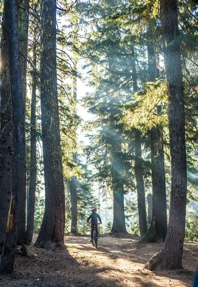 Crater Lake Camping - Mazama Campground