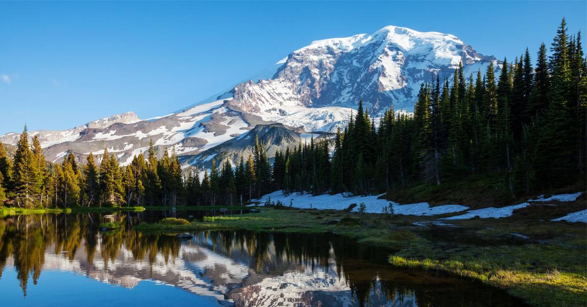 Mount Rainier Camping