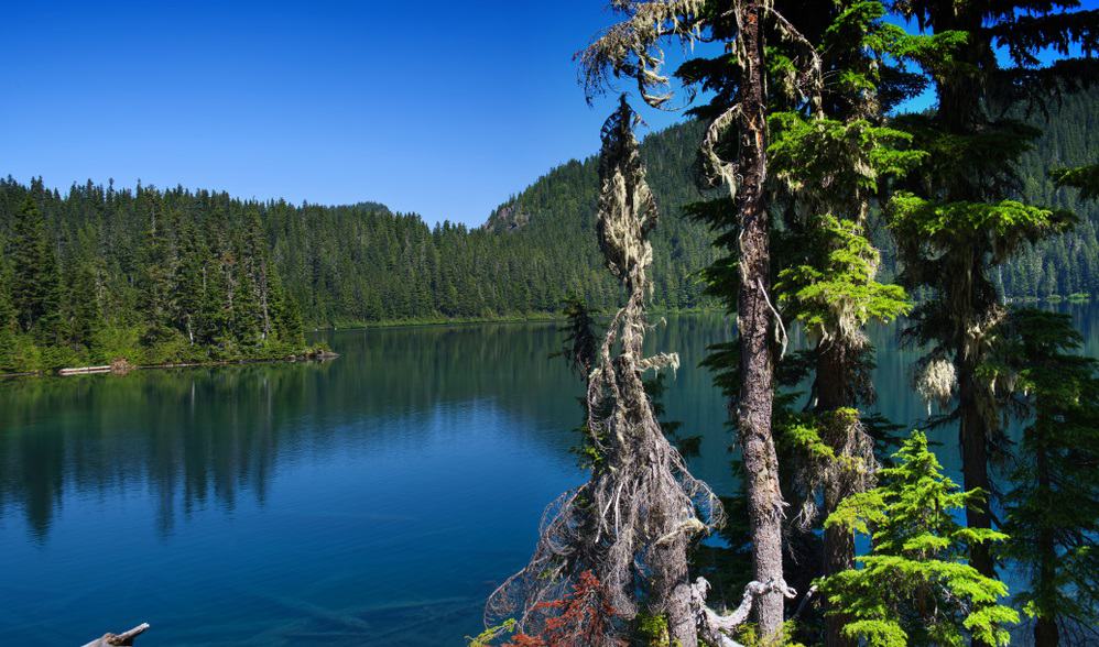 Mowich Lake in Mt. Rainier National Park