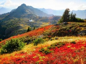Things To Do In North Cascades National Park