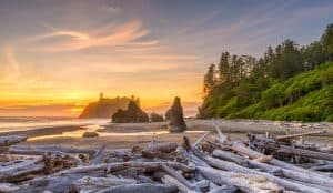 Best Time to Visit Olympic National Park