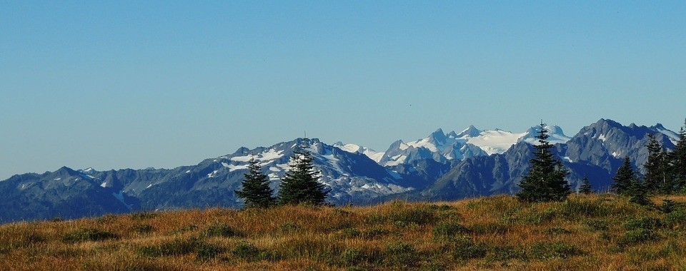 Olympic National Park Hikes