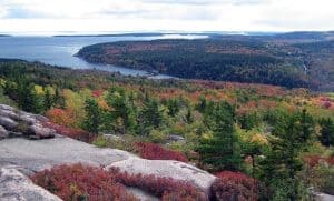 Best Hikes in Acadia National Park
