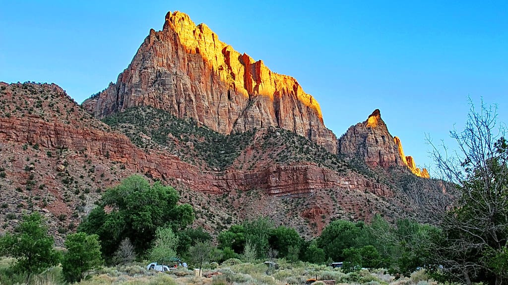 Watchman Campground - camping in Zion national park