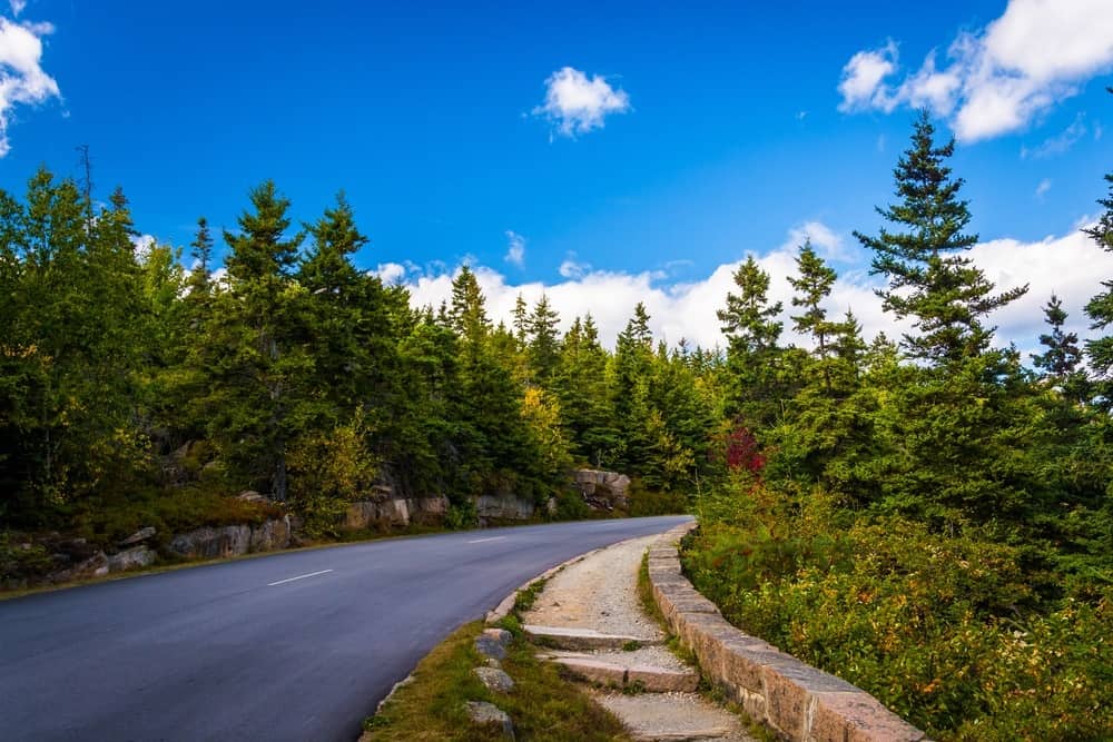 Best Time to Visit Acadia National Park Park Loop Road