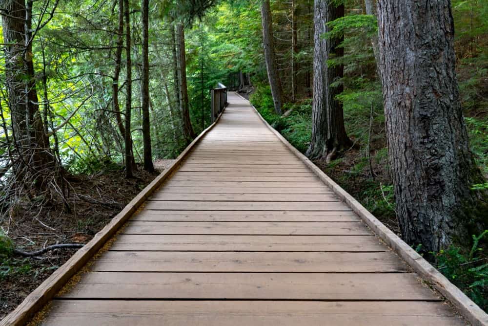 Trail of the Cedars