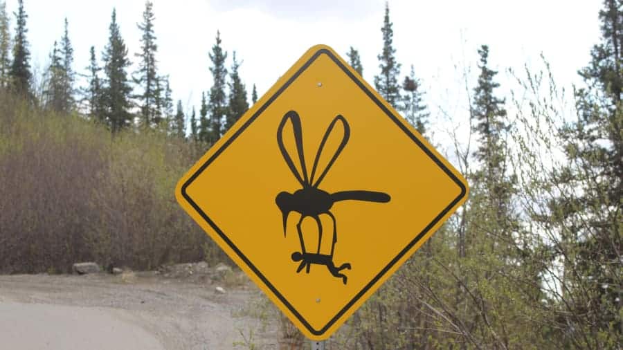 Weird Alaska Sign