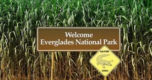 Things to Do in Everglades National Park