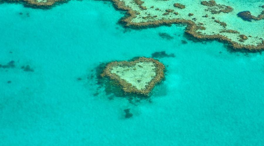 Best Time to Visit great barrier reef australia
