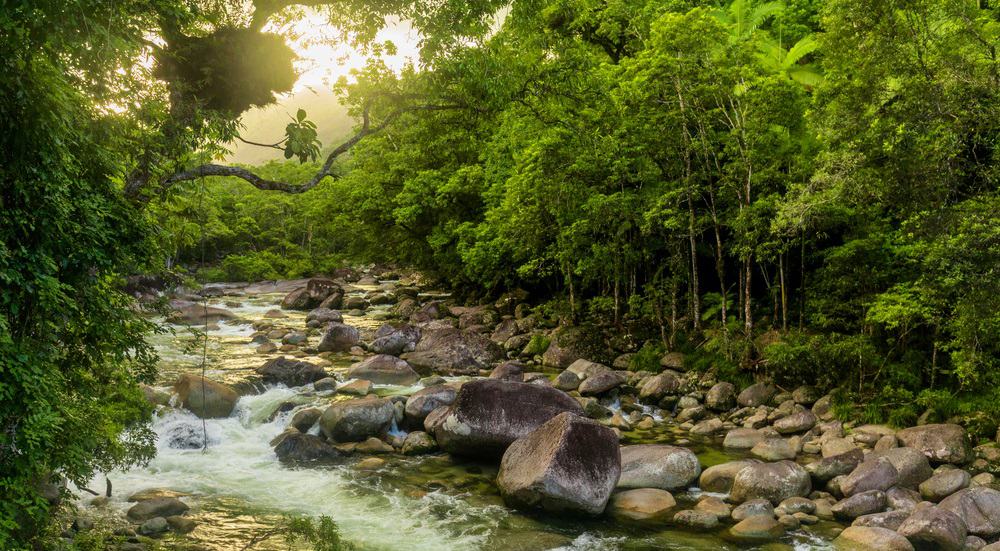 Best Time to Visit Daintree National Park